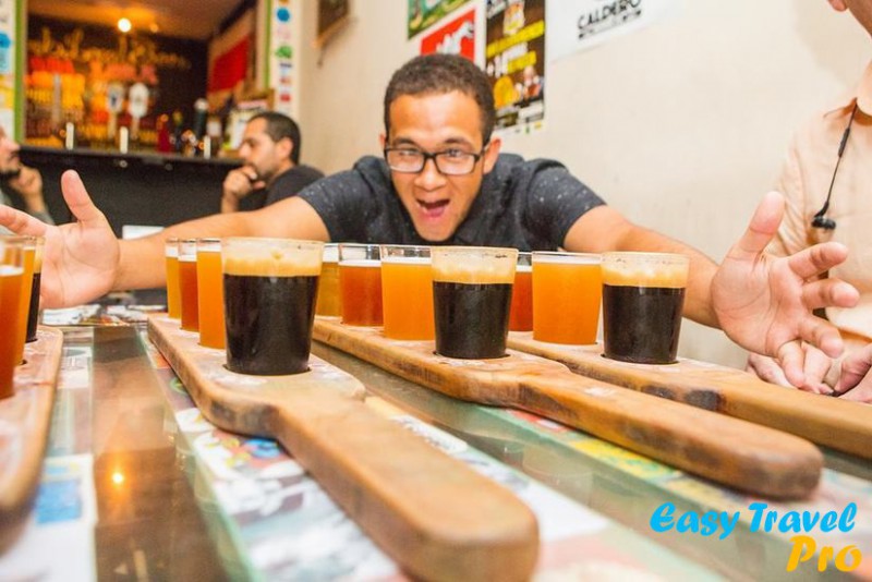 The Art of Craft Beer - con transporte