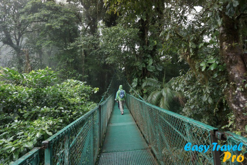 Puentes Colgantes Monteverde - Zona 1
