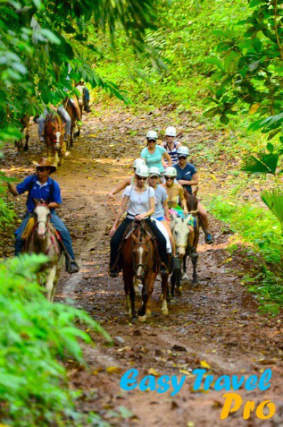 Canopy + Horseback Ride -Jaco,Herradura,Los Sueños