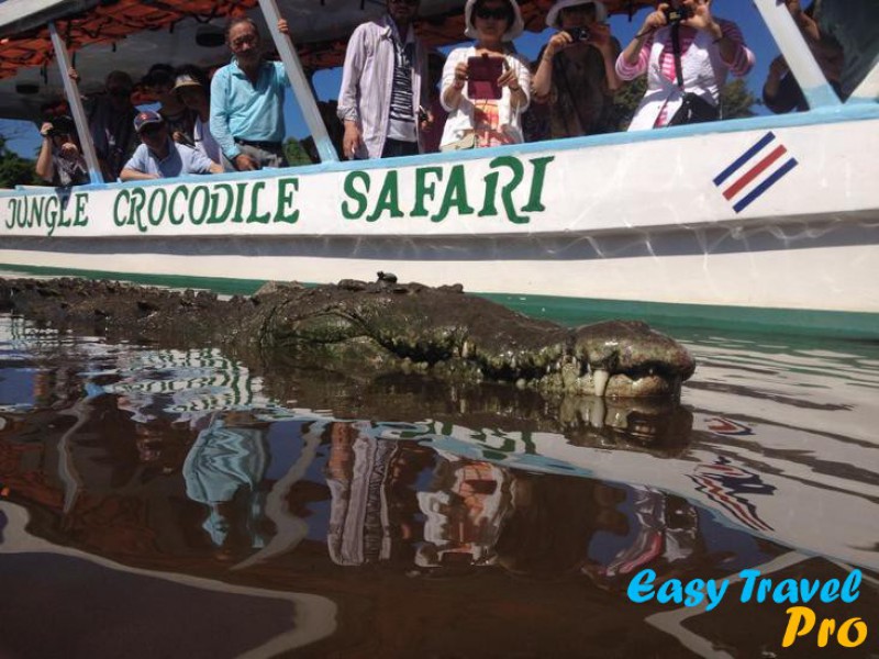 Safari de Cocodrilos - desde Jaco