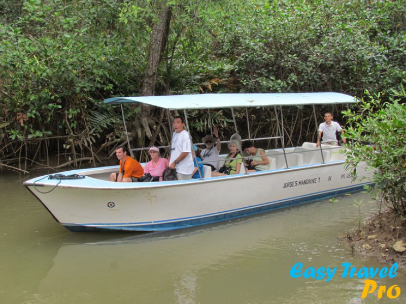 Damas Island Mangrove (Boat)